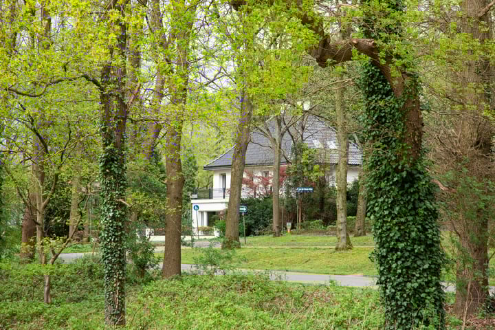 Additional image 3 of Lindenallee 27