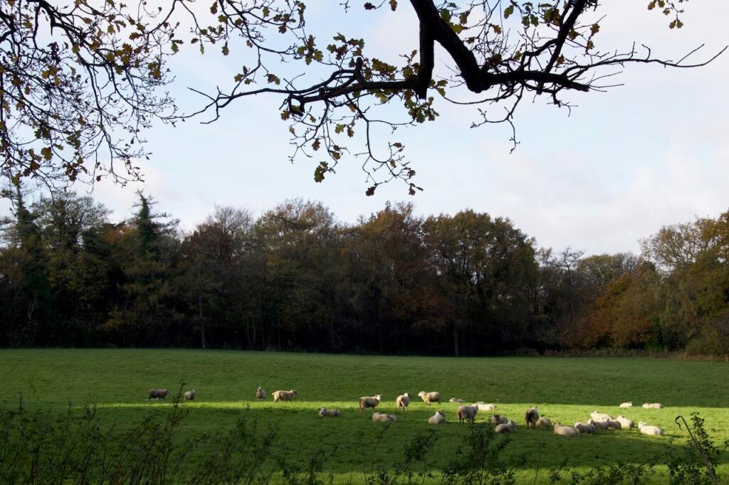 Additional image 14 of Newbery Close, Caterham, CR3