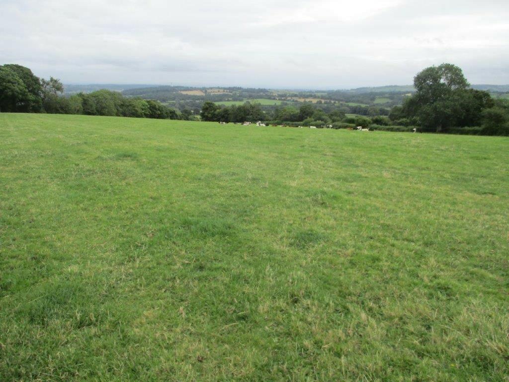 Additional image 5 of 20 ACRES OF PRODUCTIVE AGRICULTURAL LAND AT NERCWYS, FLINTSHIRE