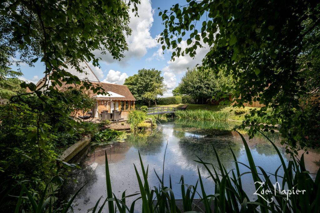 Additional image 9 of Bocking