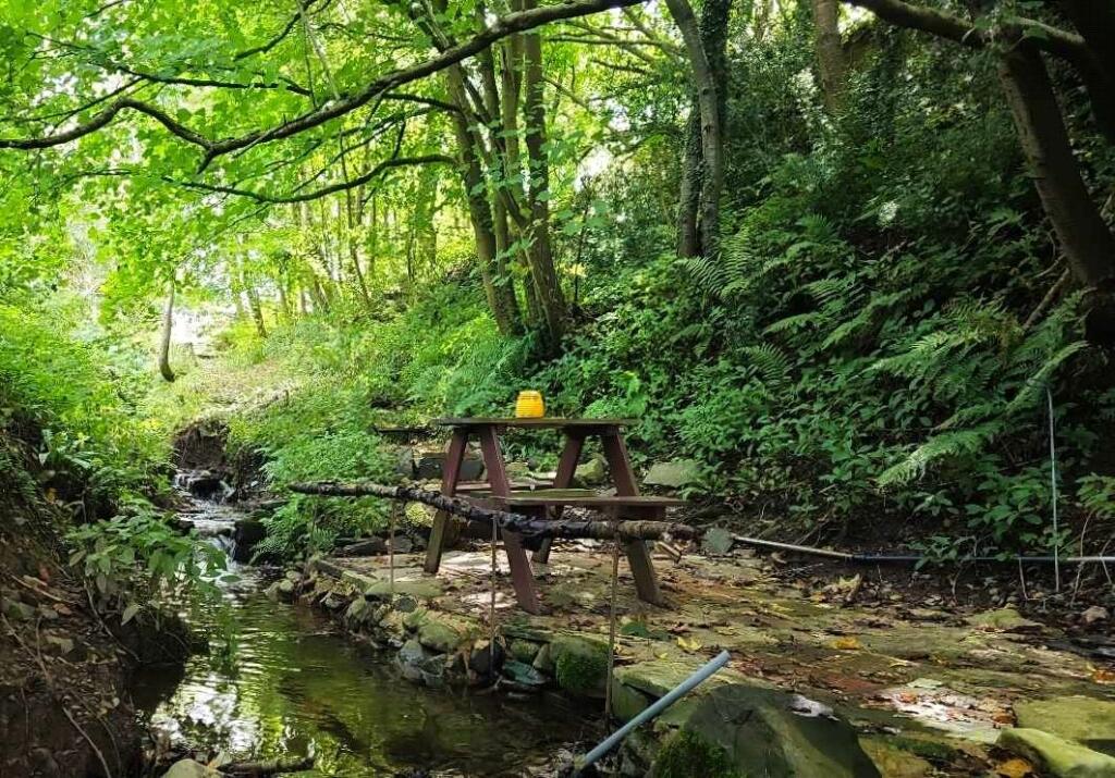 Additional image 20 of Trefechan Road, Afonwen, Mold, Flintshire, CH7