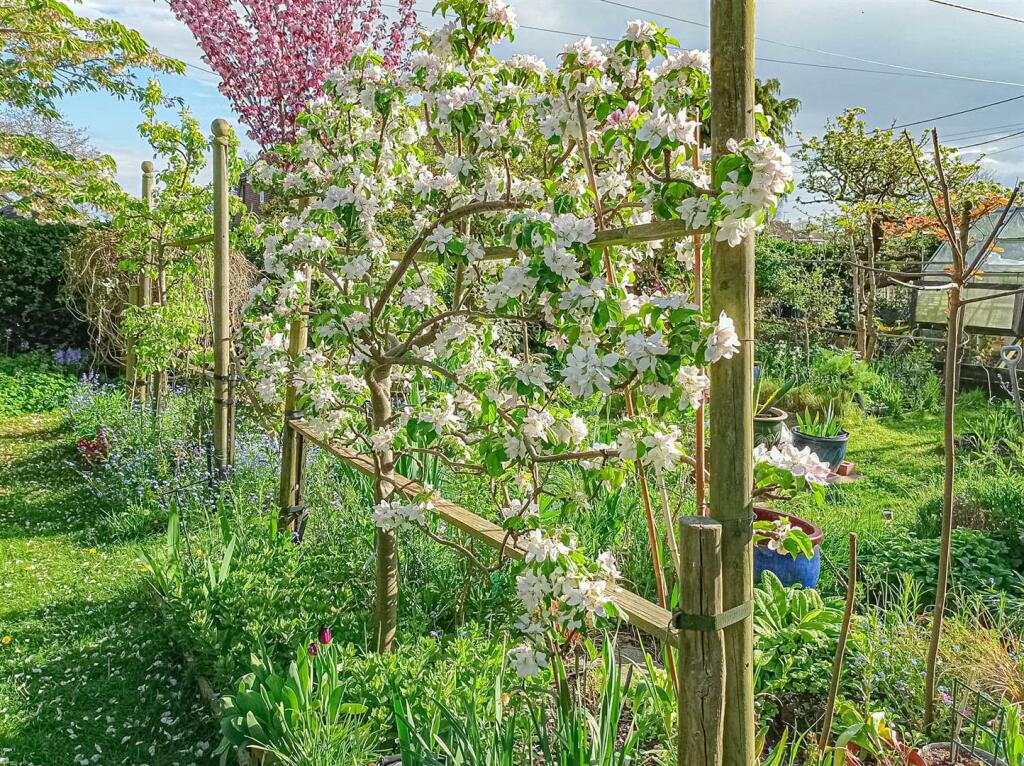 Additional image 12 of East End Road, Bradwell-On-Sea, Southminster