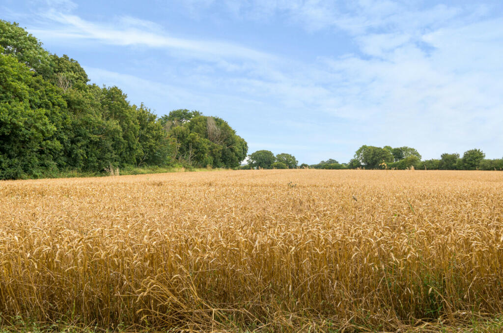 Additional image 18 of Cloghams Green, High Easter Road, Leaden Roding, Dunmow, CM6