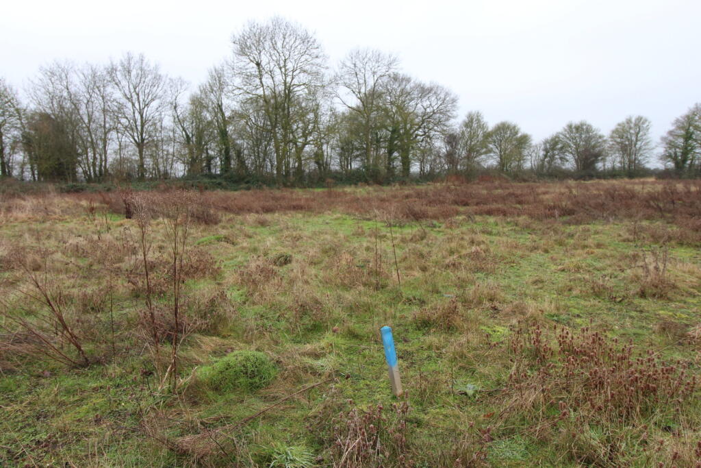 Additional image 8 of High Roding, Dunmow, CM6