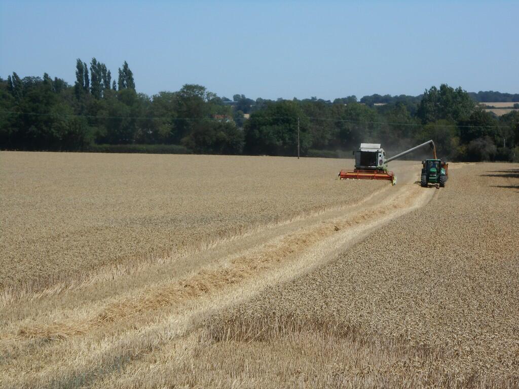 Additional image 15 of Shalford, Braintree