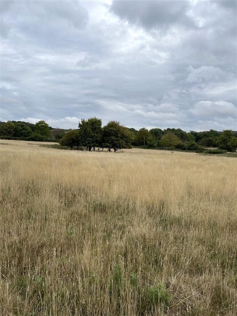 Additional image 6 of Mount Road, Theydon Garnon, Epping, Essex, CM16