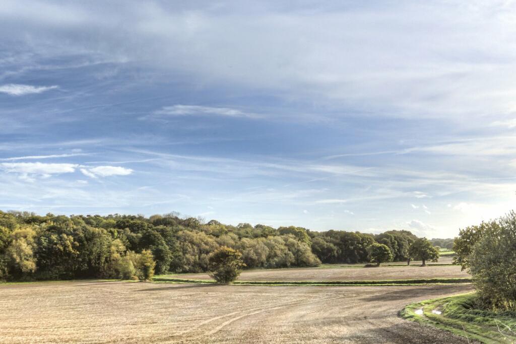 Additional image 16 of Plot 30 The Linum, Chattowood, Linum Road, Elmstead Market, Colchester, CO7