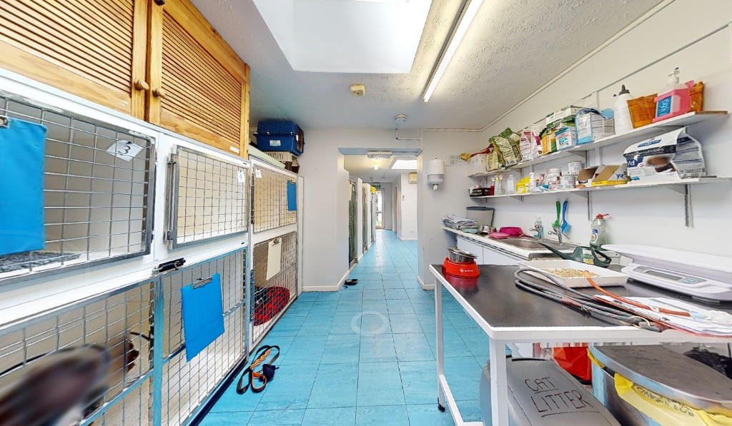 Additional image 9 of Medivet, 17 Woodham Halt, South Woodham Ferrers, Essex CM3 5JB