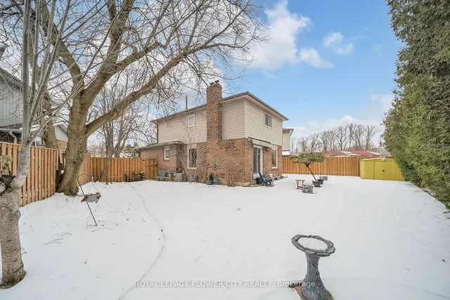 Additional image 9 of 16 JOANNE Crt