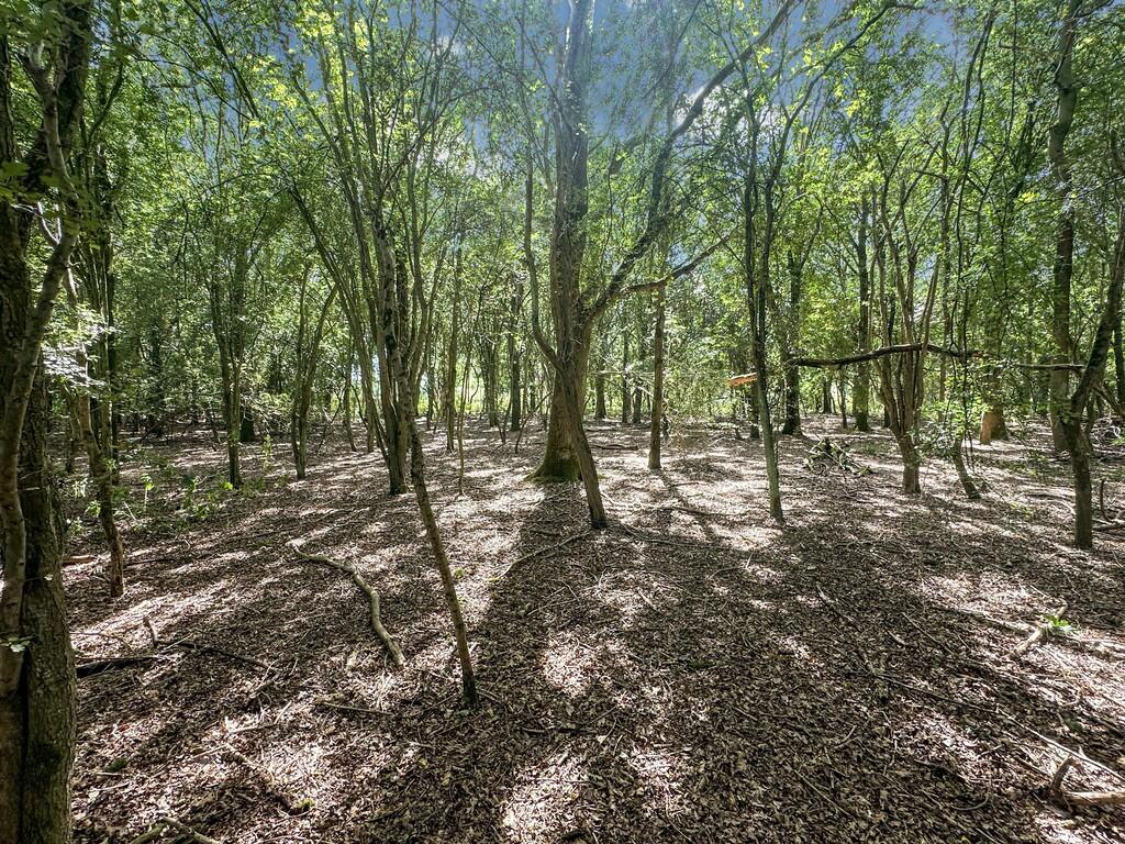 Additional image 39 of Moor Road, Langham