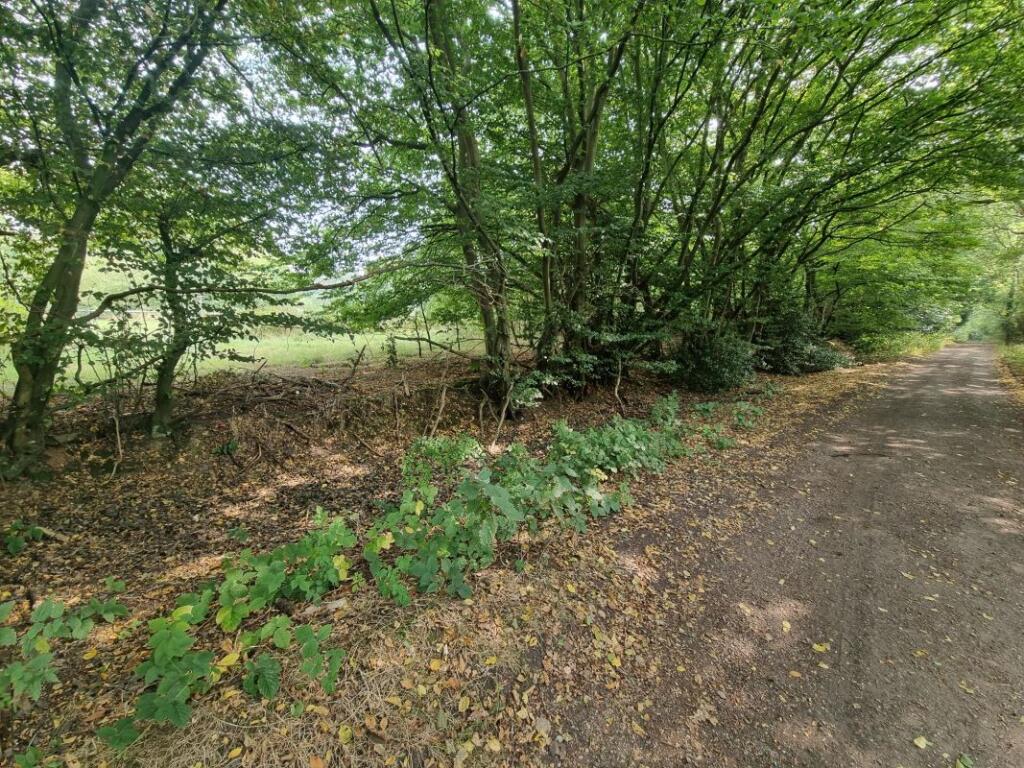 Additional image 5 of Land Lying to the East of, Goatsmoor Lane, Ingatestone, Essex, CM4 9RS