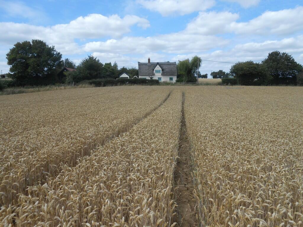 Additional image 14 of Shalford, Braintree