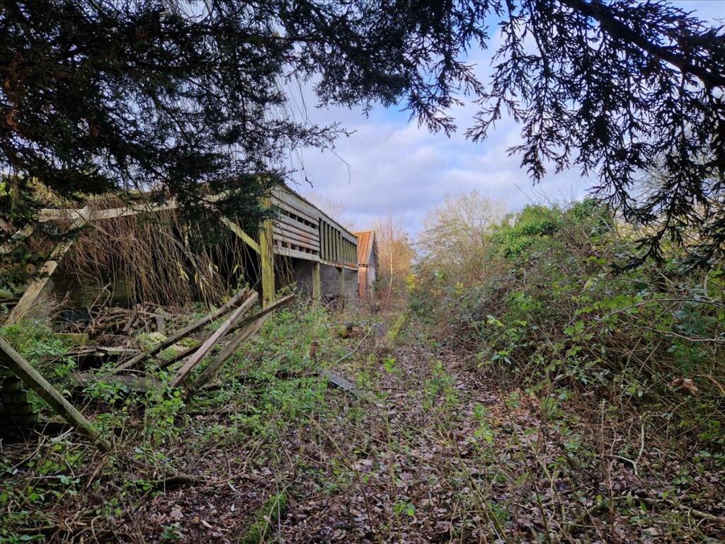Additional image 5 of Land at rear of Barretts Hall, Great Maplestead, Braintree, Essex, CO9