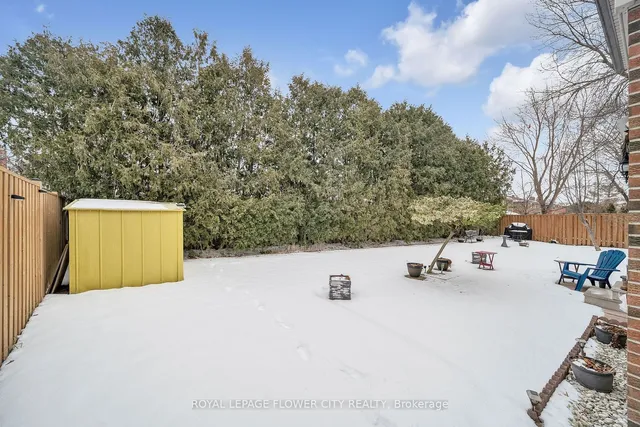 Additional image 8 of 16 JOANNE Crt