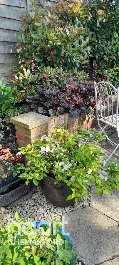 Additional image 20 of Flintwich Manor, Chelmsford