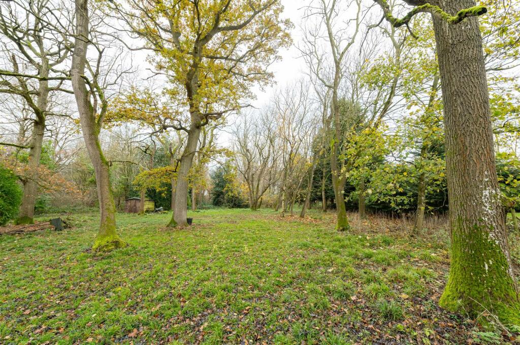 Additional image 4 of Millfield Wood, Millwood Road, Polstead