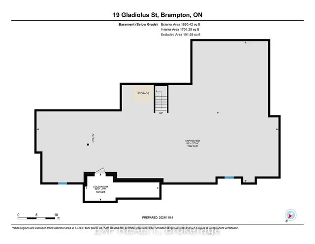 Additional image 39 of 19 Gladiolus St