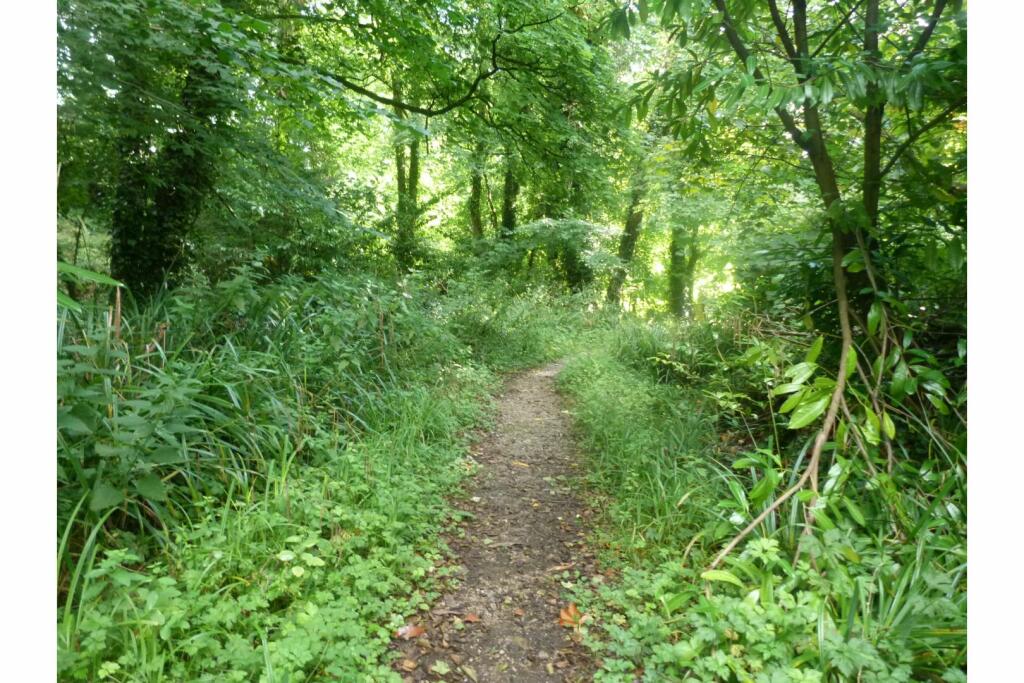 Additional image 51 of Downing Road, Whitford, CH8