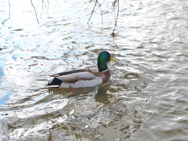 Additional image 33 of 270 Scarlett Rd Unit 1205