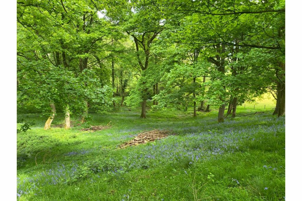 Additional image 26 of Trefechan Road, Mold, CH7