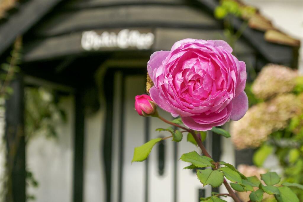 Additional image 30 of Monkton Street, Monkton, Ramsgate