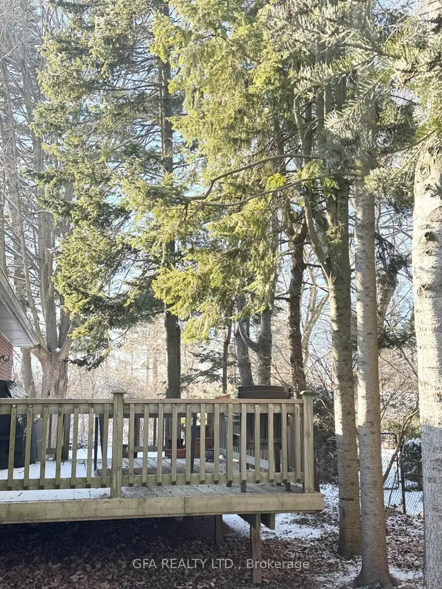 Additional image 3 of 1169 Cynthia Lane