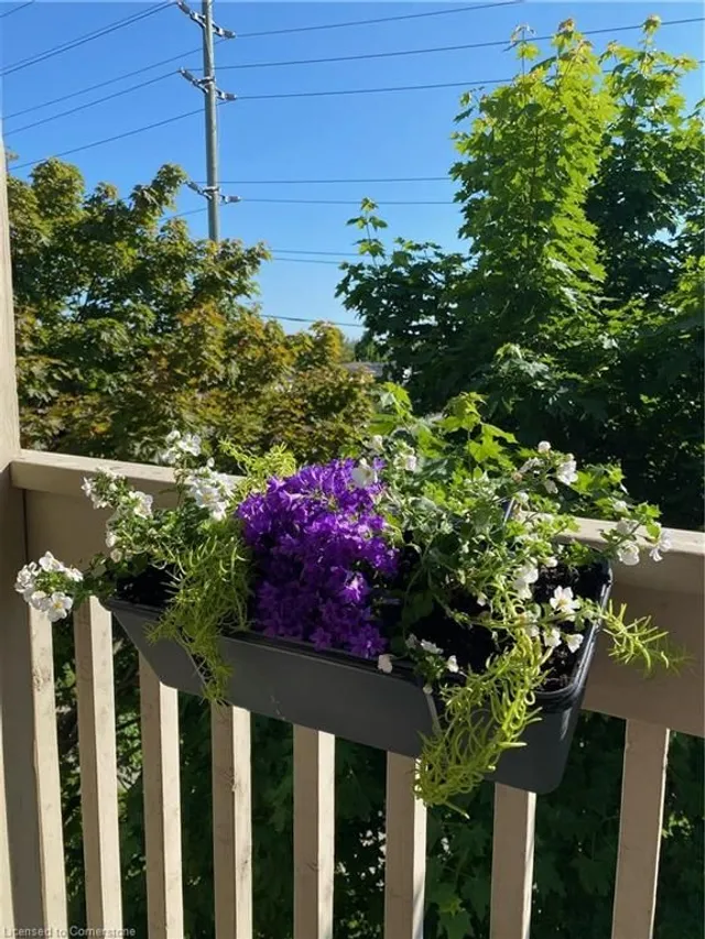 Additional image 24 of 4003 Kilmer Dr Unit 403