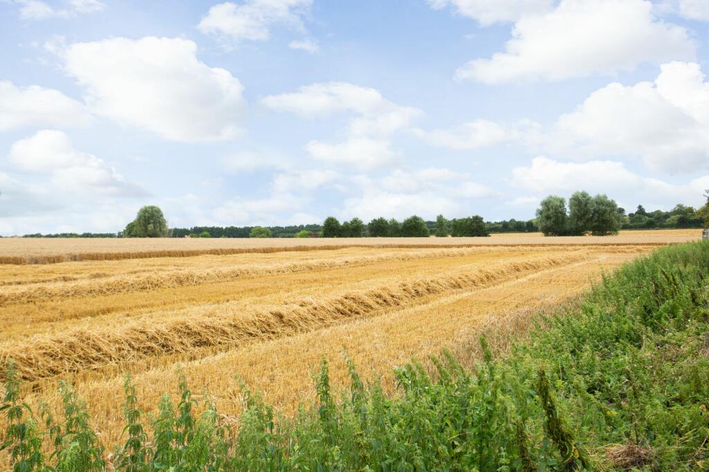 Additional image 16 of The Foreland, Canterbury, CT1