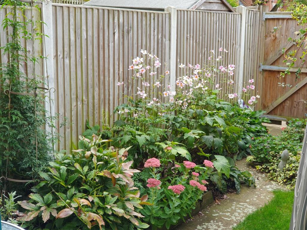 Additional image 11 of Barton Mill Road, Canterbury, CT1