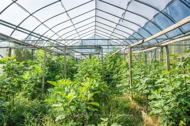 Additional image 17 of 6465 Twenty Rd