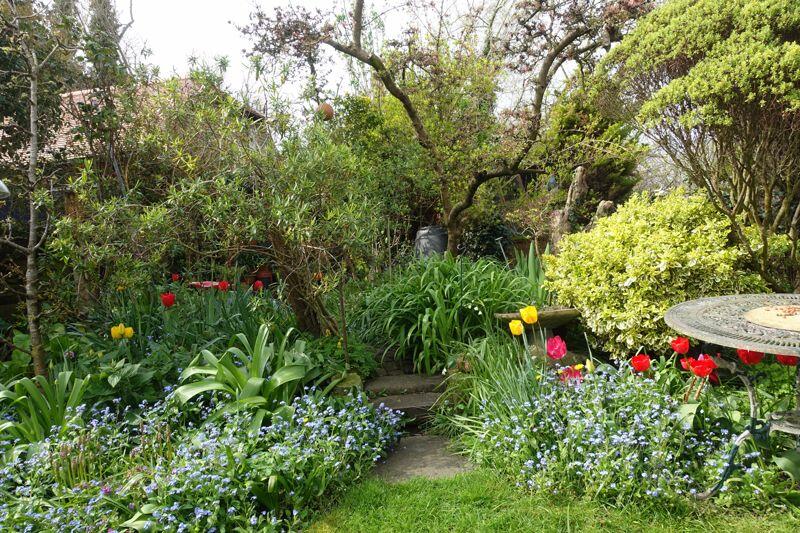 Additional image 17 of Whitefriars Meadow, Sandwich