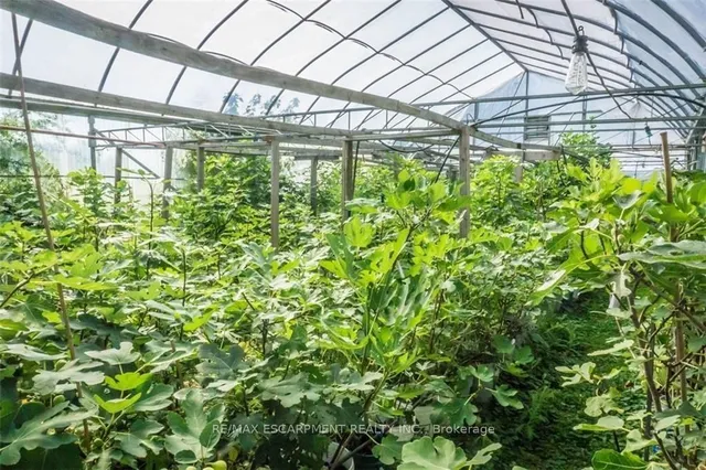 Additional image 16 of 6465 Twenty Rd