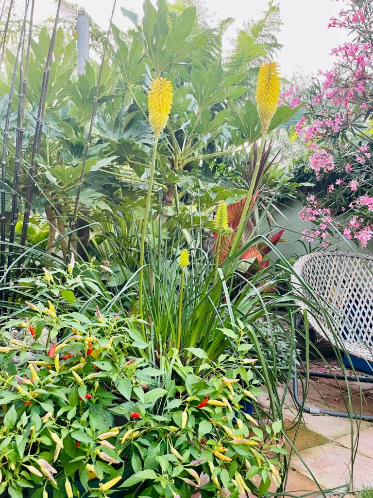 Additional image 20 of College Road, Deal, Kent, CT14