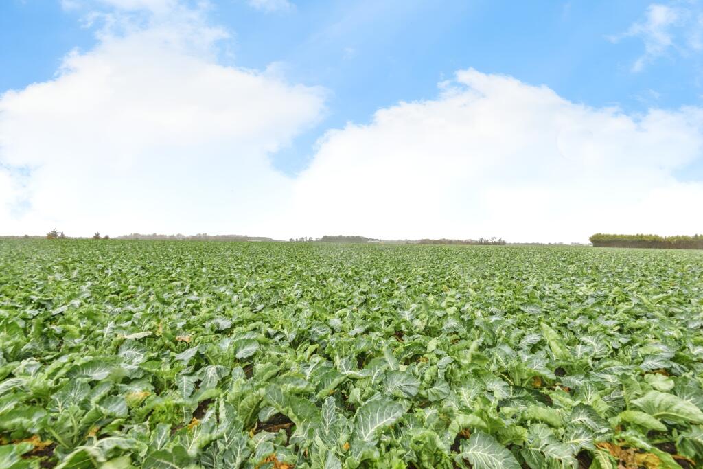 Additional image 3 of Haine Road, Ramsgate, CT12