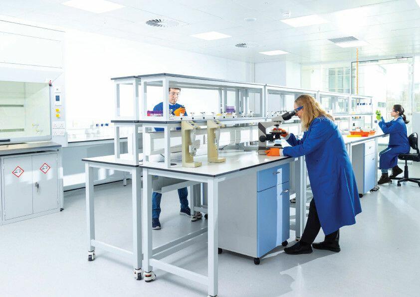 Additional image 4 of Sandwich