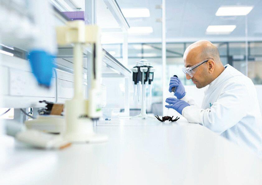 Additional image 8 of Sandwich