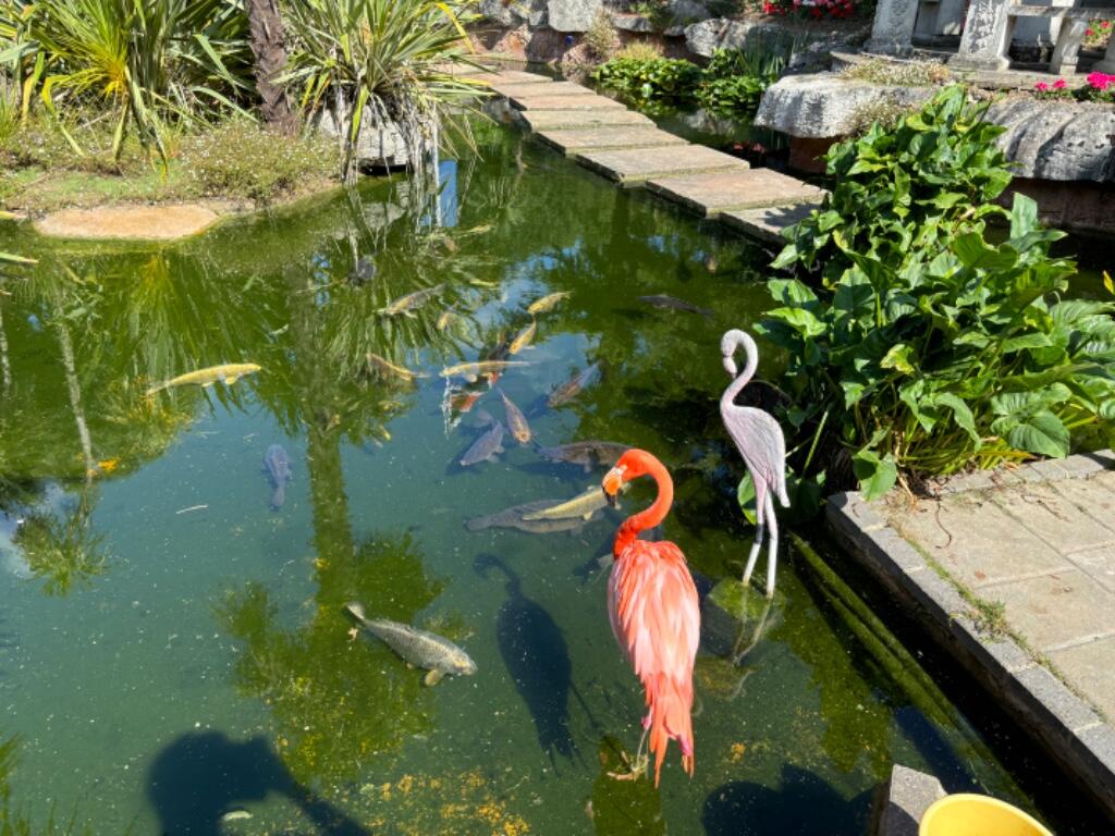 Additional image 9 of Fox Hunter Park, Monkton, CT12 4JG, Kent, CT1