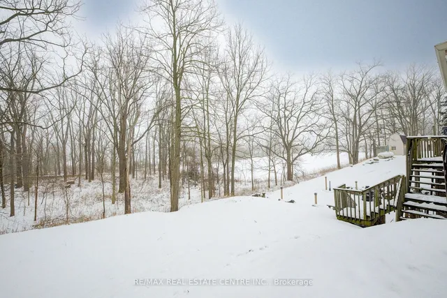 Additional image 39 of 9910 White Church Rd