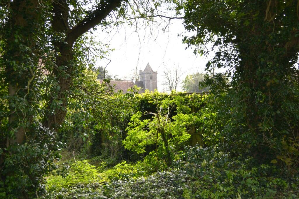 Additional image 5 of East Langdon