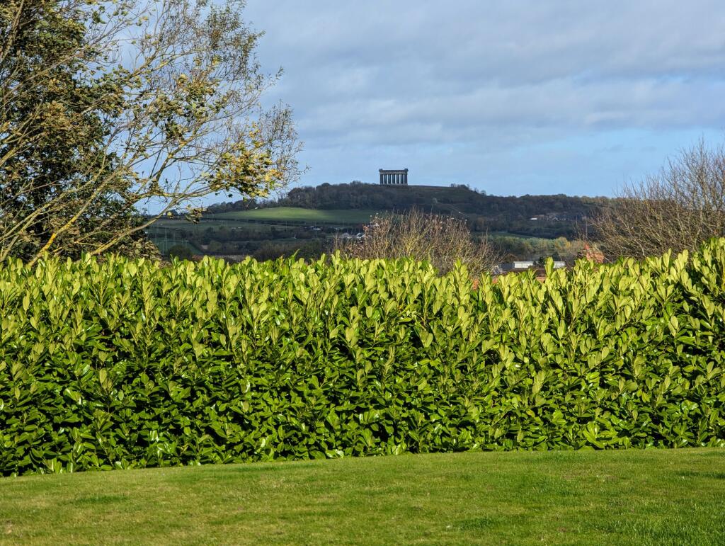 Additional image 70 of Grange View, Newbottle, DH4