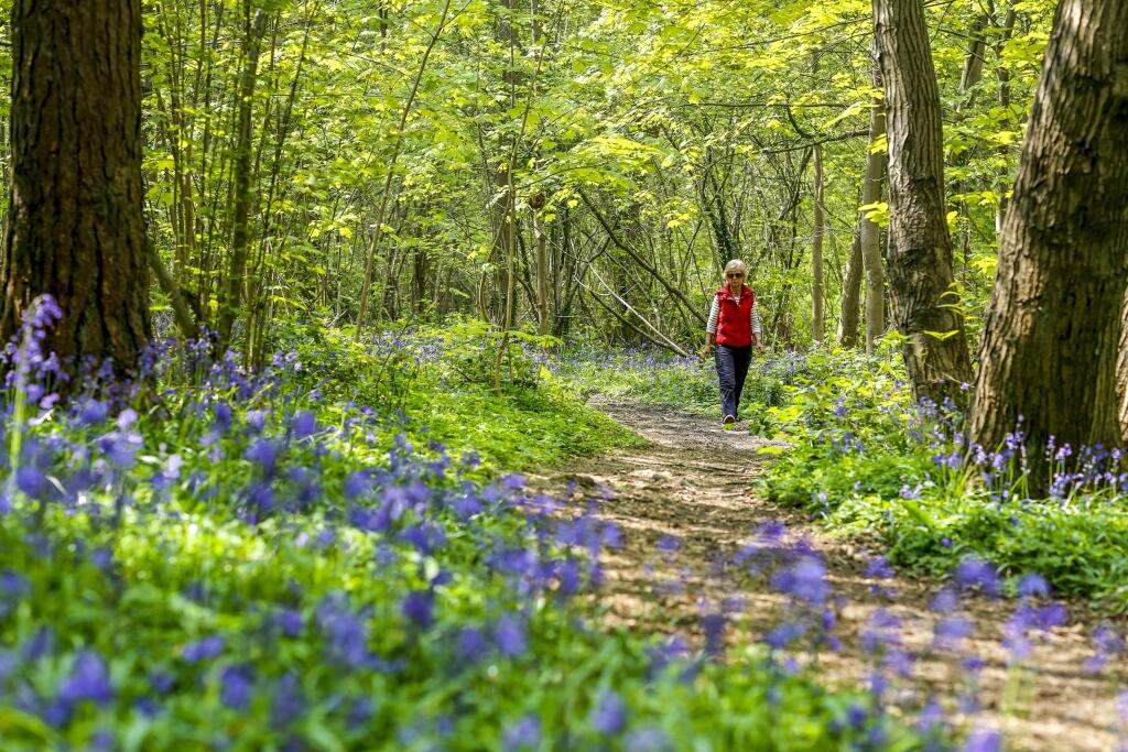 Additional image 15 of Station Road,
Aylesham,
CT3 3AS