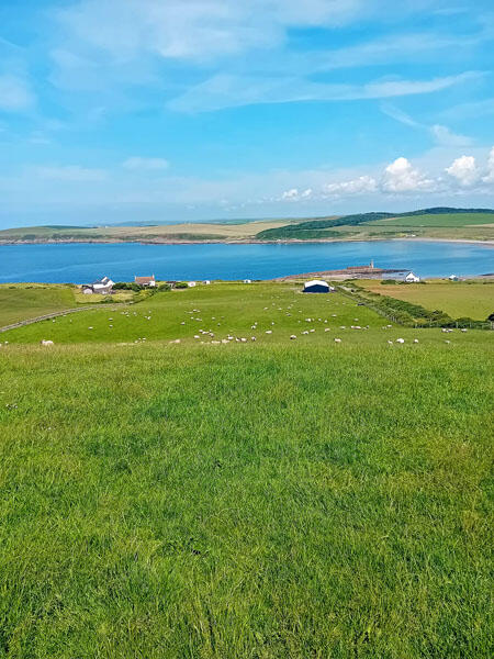 Additional image 6 of Land at Muldaddie