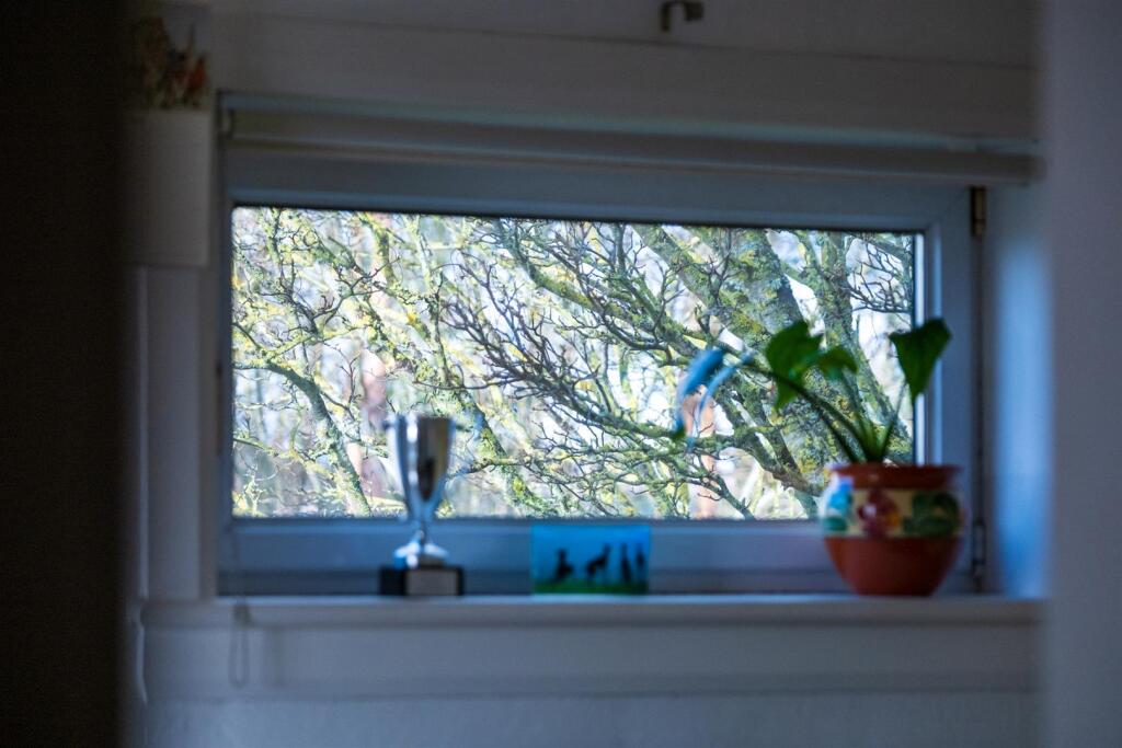 Additional image 18 of Yarrow Terrace, Dundee