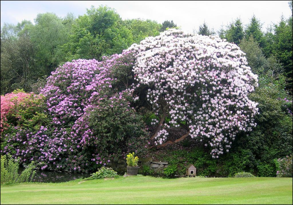 Additional image 18 of Eshwood Hall, Durham