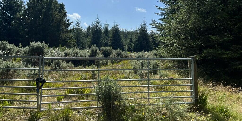 Additional image 8 of Crailloch Moss Wood, Galloway DG8