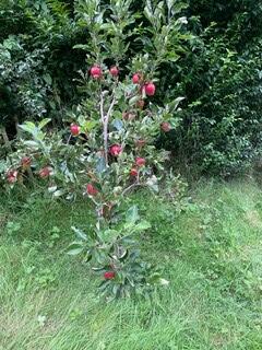 Additional image 37 of 33 Lawton Street, Congleton, Cheshire CW12 1RU