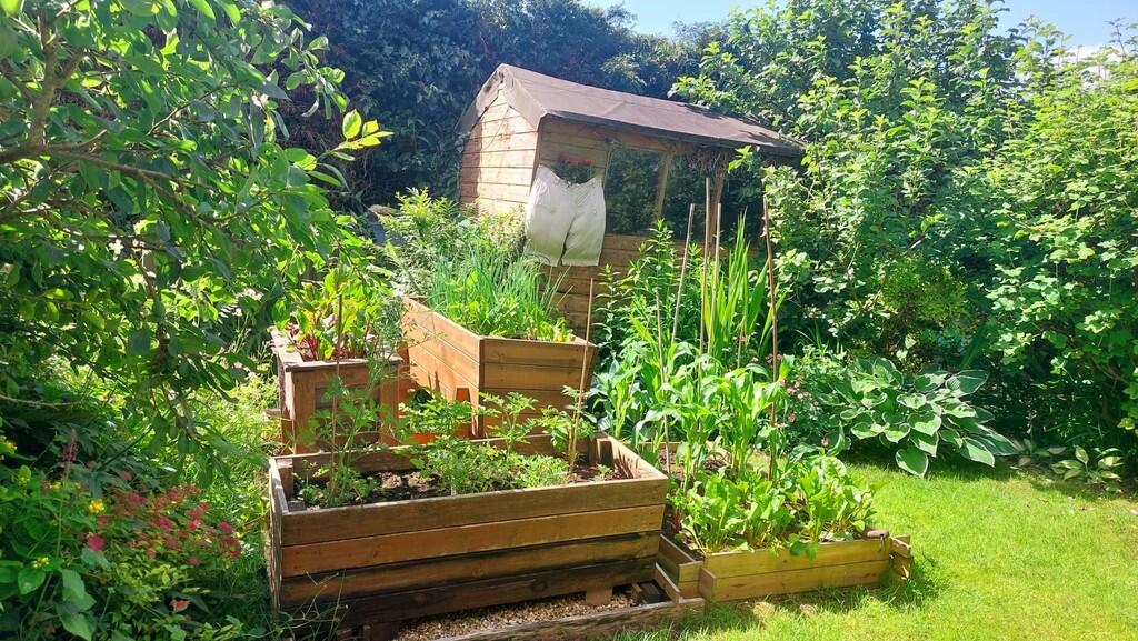 Additional image 29 of Parwich, Ashbourne