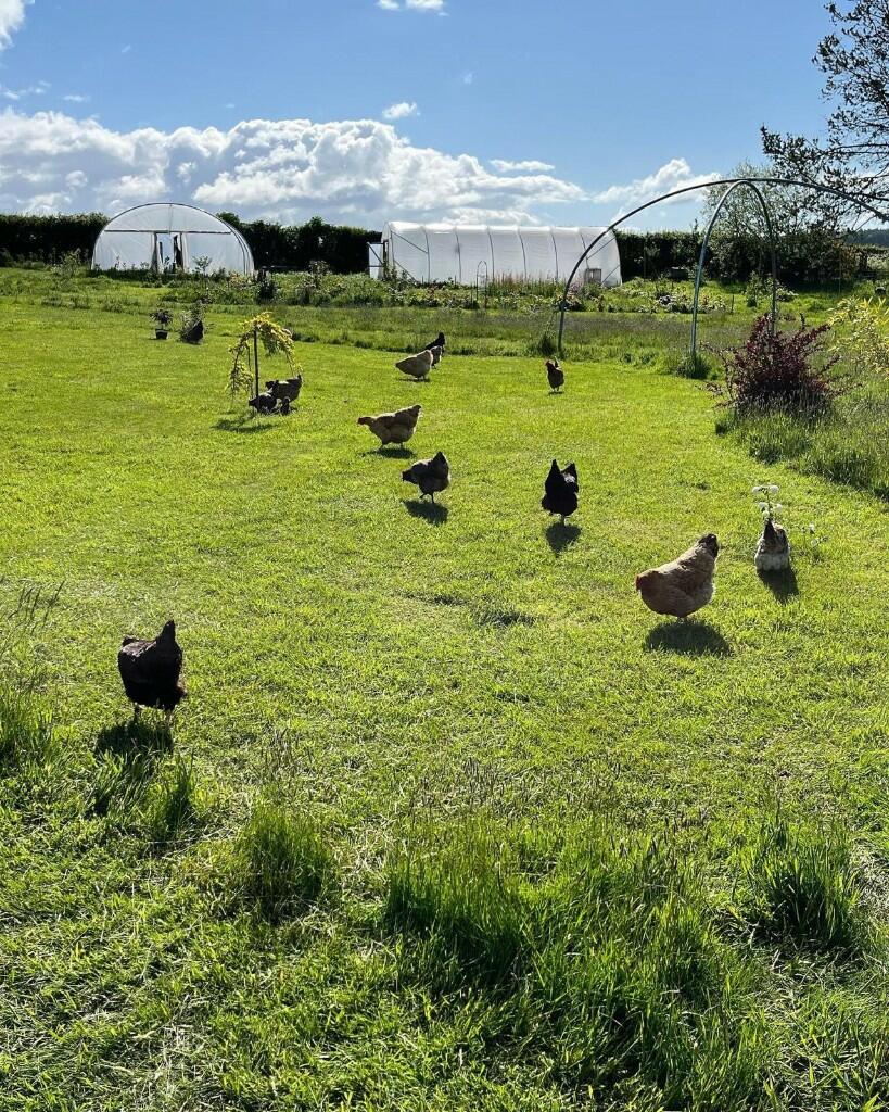 Additional image 40 of Beech View, High Road, Lockerbie, Dumfriesshire, DG11 1JS