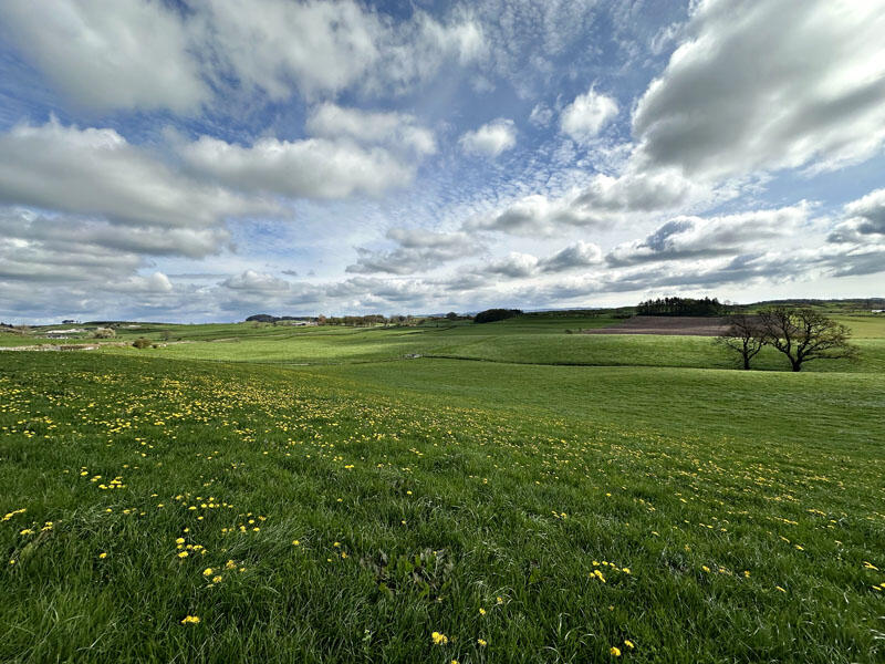 Additional image 23 of Boreland of Borgue