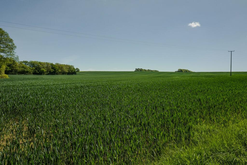 Additional image 21 of Lower Hardres, Canterbury, CT4